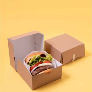 Burger Sleeve Packaging